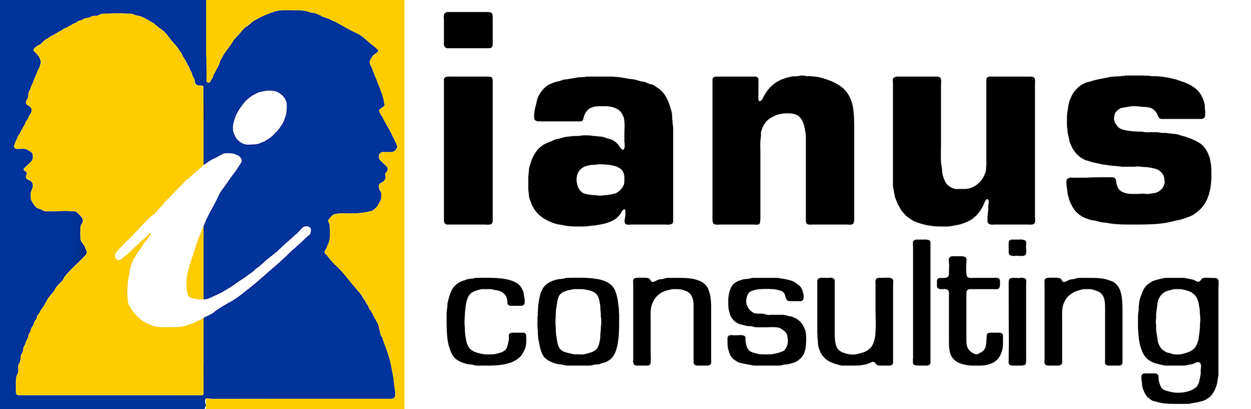 Ianus consulting logo